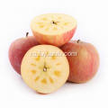 Noua fructe proaspete ieftine Apple Fuji (64-198)